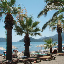 фото из отзыва ID 1815184