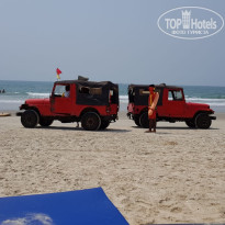 фото из отзыва ID 1816602