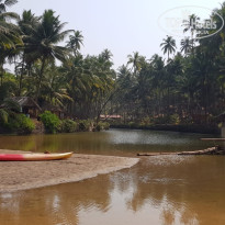 фото из отзыва ID 1816602