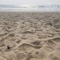 фото из отзыва ID 1816602