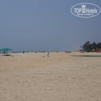 фото из отзыва ID 1816602