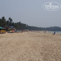 фото из отзыва ID 1816602