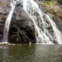 фото из отзыва ID 1816602