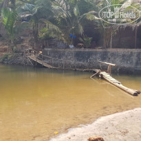 фото из отзыва ID 1816602