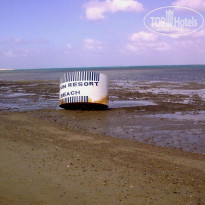 фото из отзыва ID 182031