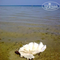 фото из отзыва ID 182031