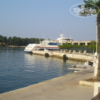 фото из отзыва ID 182677