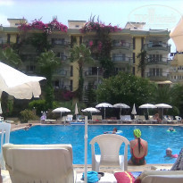 фото из отзыва ID 1820055