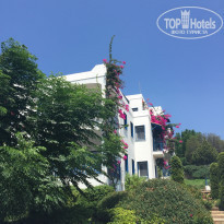 фото из отзыва ID 1820058