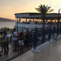 фото из отзыва ID 1820058