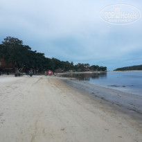 фото из отзыва ID 1820079