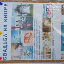 фото из отзыва ID 1820172