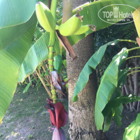 фото из отзыва ID 1820219