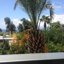 фото из отзыва ID 1820322