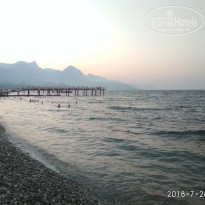 фото из отзыва ID 1820332