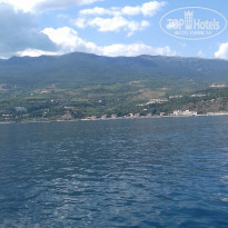 фото из отзыва ID 1820410