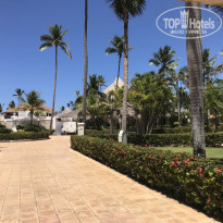 фото из отзыва ID 1820474