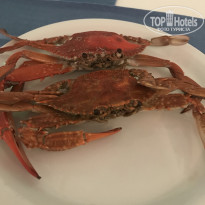 фото из отзыва ID 1820499