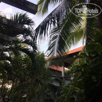 фото из отзыва ID 1820609