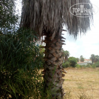 фото из отзыва ID 1820733