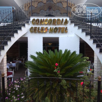 фото из отзыва ID 1820774