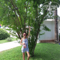 фото из отзыва ID 1820792