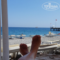 фото из отзыва ID 1820792