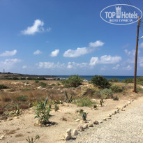 фото из отзыва ID 1820876