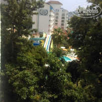 фото из отзыва ID 1820923