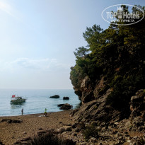 фото из отзыва ID 1820941