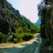 фото из отзыва ID 1820941