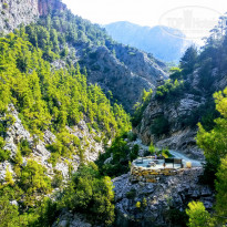 фото из отзыва ID 1820941