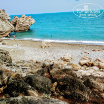 фото из отзыва ID 1820941