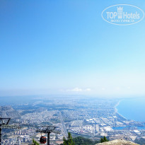 фото из отзыва ID 1820941