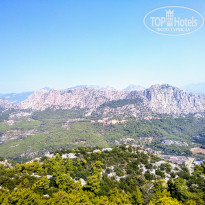 фото из отзыва ID 1820941