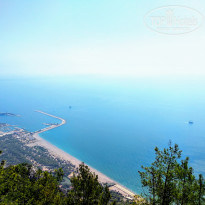 фото из отзыва ID 1820941