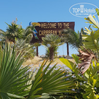 фото из отзыва ID 1820972