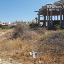 фото из отзыва ID 1820972