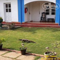 фото из отзыва ID 1820110