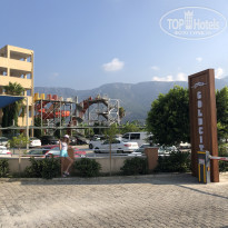 фото из отзыва ID 1821068