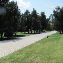 фото из отзыва ID 1821191