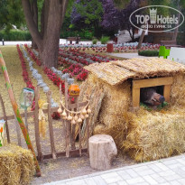 фото из отзыва ID 1821191