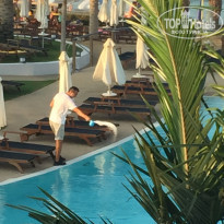 фото из отзыва ID 1821388