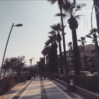 фото из отзыва ID 1821402