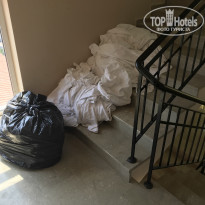 фото из отзыва ID 1821503