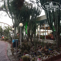 фото из отзыва ID 1821595