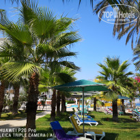 фото из отзыва ID 1821595