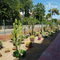 фото из отзыва ID 1821595