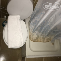 фото из отзыва ID 1821696