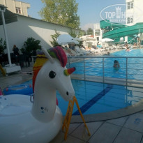 фото из отзыва ID 1821711